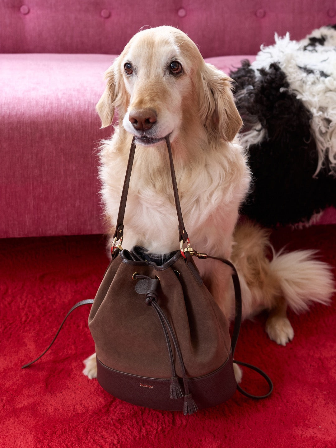 The Shell suede bucket bag